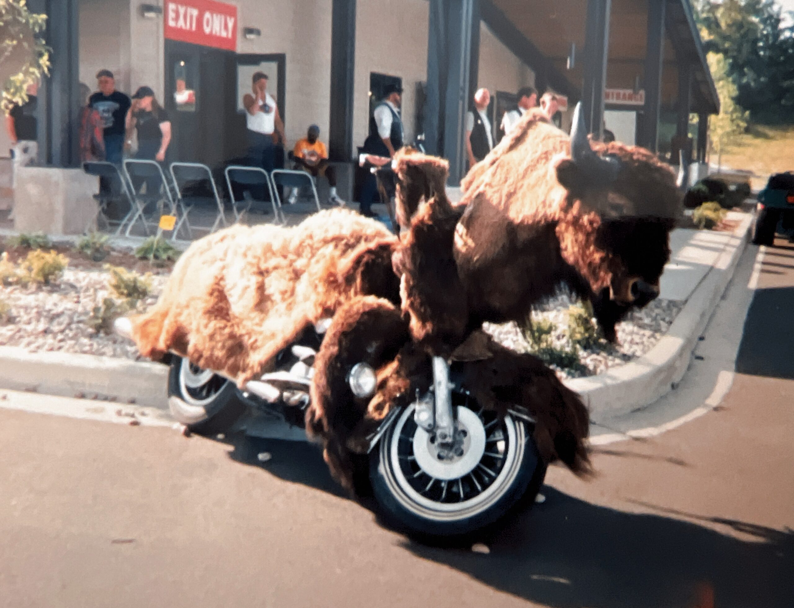 Photo694211905944_inner_8-23-738-23-8-976-738-976